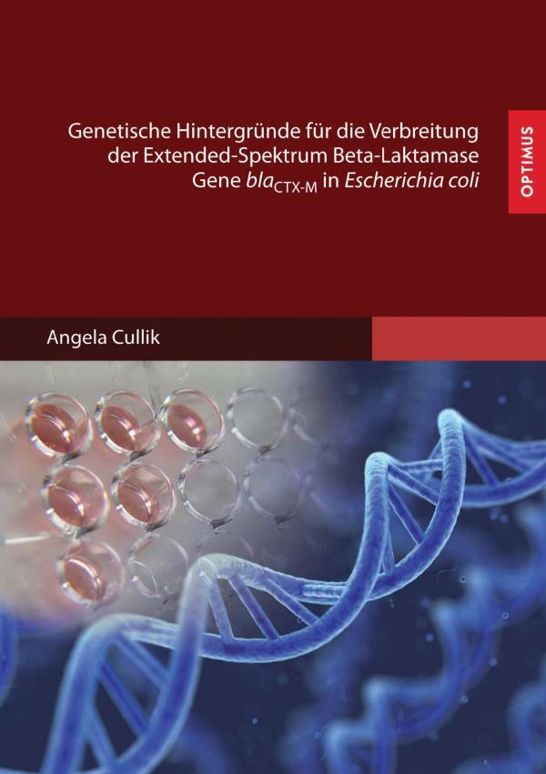 Genetische Hintergründe für die Verbreitung der Extended-Spektrum Beta-Laktamase Gene blaCTX-M in Escherichia coli