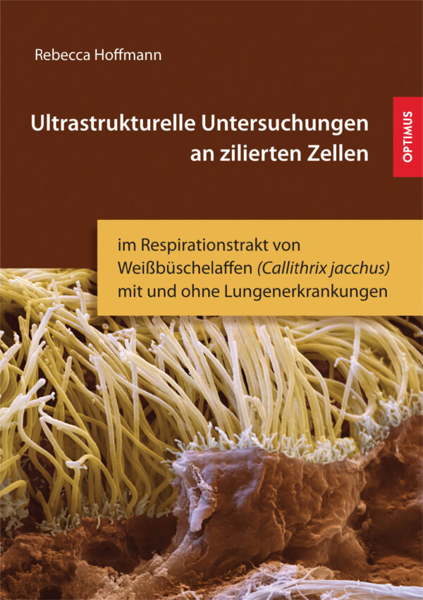 Ultrastrukturelle Untersuchungen an zilierten Zellen im Respirationstrakt von Weißbüschelaffen