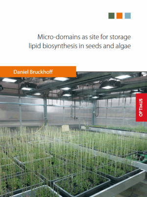 Micro-domains as site for storage lipid biosynthesis in seeds and algae