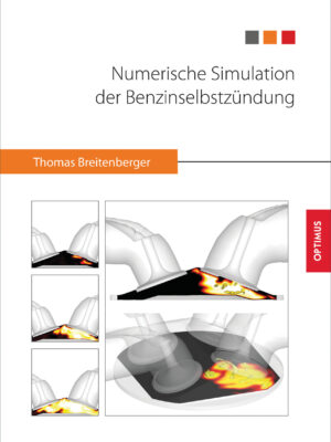 Numerische Simulation der Benzinselbstzündung