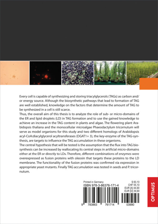 Micro-domains as site for storage lipid biosynthesis in seeds and algae – Bild 2