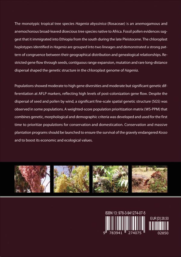 Colonization History, Phylogeography and Conservation Genetics of the Gravely Endangered Tree Species Hagenia abyssinica (Bruce) J.F. Gmel from Ethiopia – Bild 2