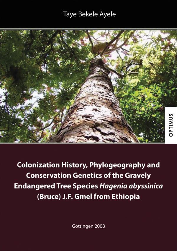 Colonization History, Phylogeography and Conservation Genetics of the Gravely Endangered Tree Species Hagenia abyssinica (Bruce) J.F. Gmel from Ethiopia