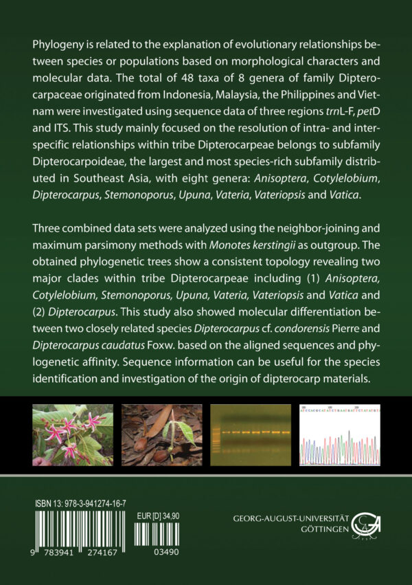Molecular phylogeny of Southeast Asian Dipterocarps belonging to tribe Dipterocarpeae (family Dipterocarpaceae) based on non-coding sequence data of chloroplast and nuclear DNA – Bild 2